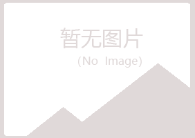 保康县白山化学有限公司